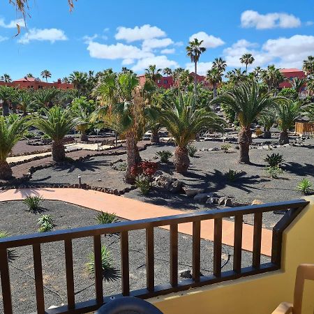 Oasis Royal F320 Apartman Corralejo Kültér fotó